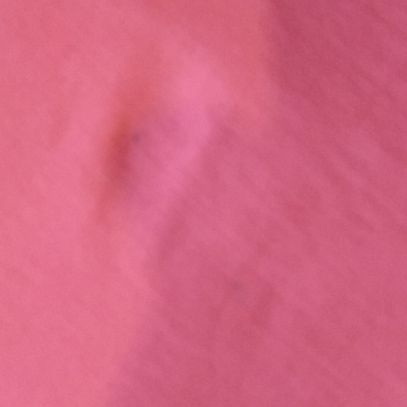 Mario Serrani Italy Coral Slim-Fit Dress Pants Women’s 14 NWT - Picture 7 of 13